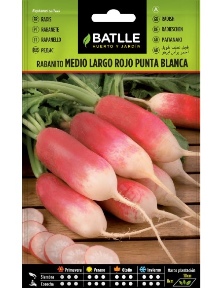 rabanito medio largo rojo p.blanca