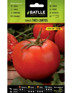 tomate tres cantos