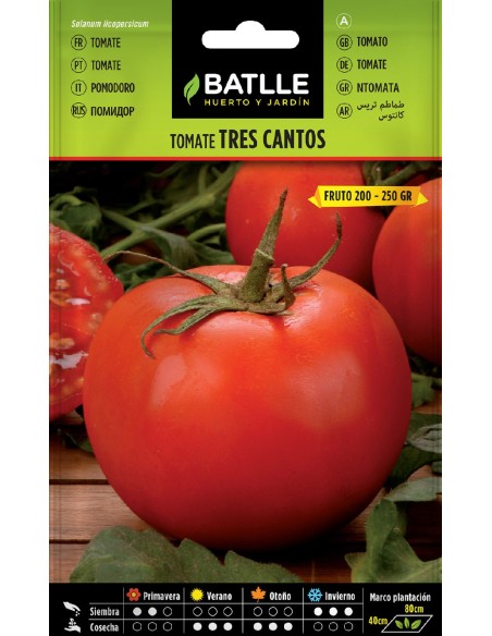 tomate tres cantos
