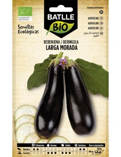 berenjena larga morada - eco