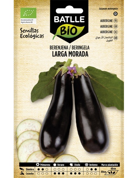 berenjena larga morada - eco