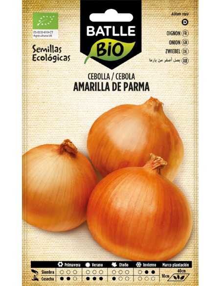 cebolla amarilla de parna- eco