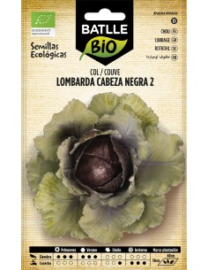 col lombarda - eco