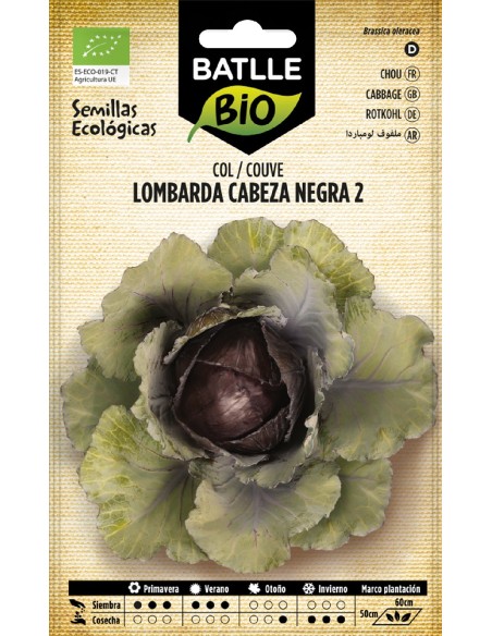 col lombarda - eco