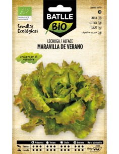 lechuga marv. verano - eco