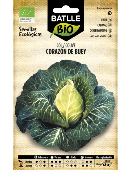 col corazon de buey - eco