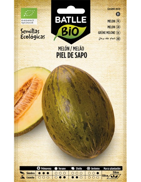 melón pien de sapo - eco