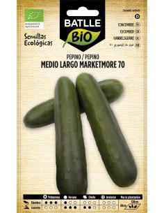 pepino marketmore 70 - eco