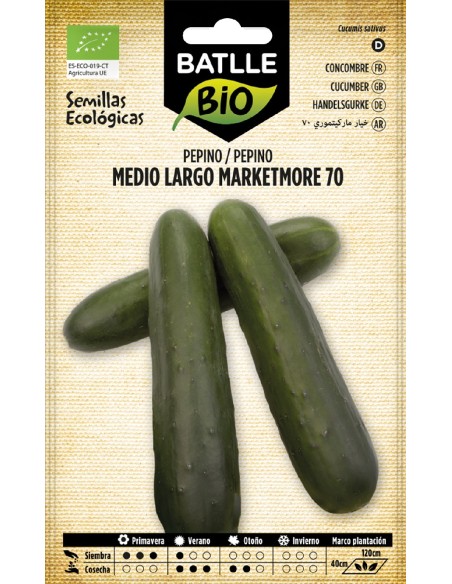 pepino marketmore 70 - eco