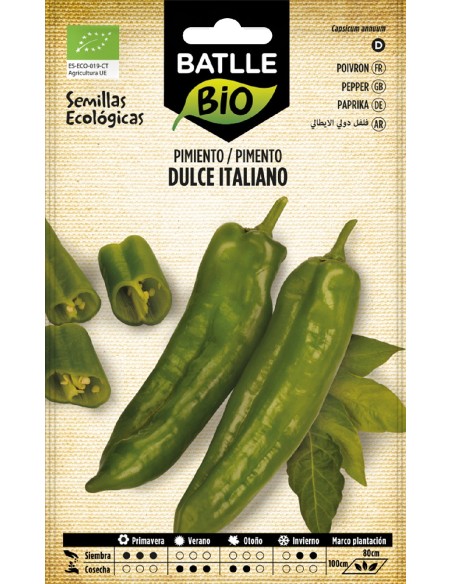 pìmiento dulce italiano - eco