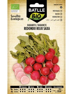 rabanito red rojo saxa - eco