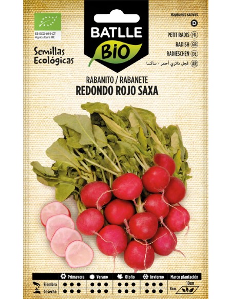 rabanito red rojo saxa - eco