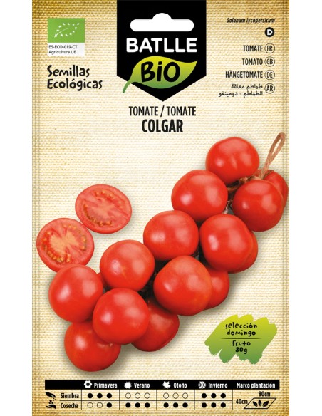 tomate de colgar sel domingo- eco