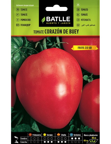 tomate corazon de buey