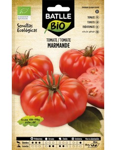 tomate marmande raf - eco