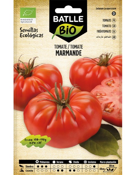 tomate marmande raf - eco