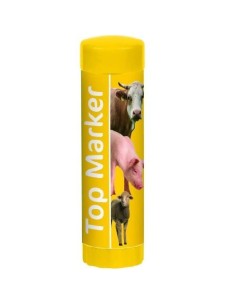 lapiz marcador top marker amarillo