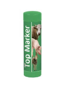 lapiz marcador top marker verde