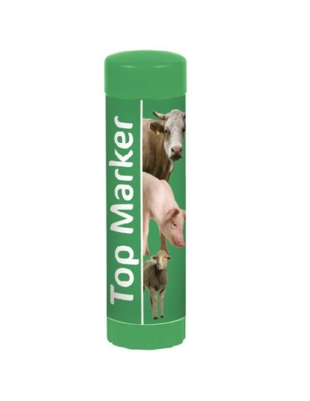 lapiz marcador top marker verde