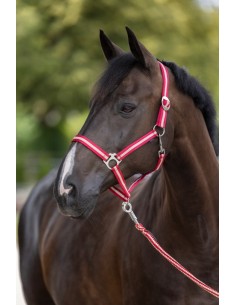 cabezada caballos nylon nº0 pony beige y burdeos 2