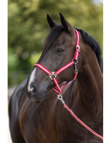 cabezada caballos nylon nº0 pony beige y burdeos