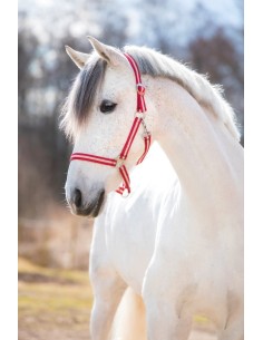 cabezada hippo de nylon full burdeos / beige