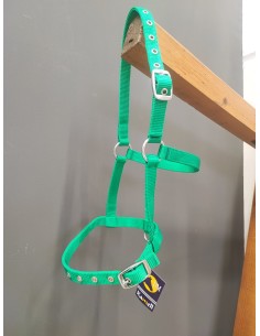cabezada potro nylon verde