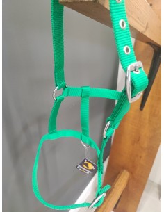 cabezada potro nylon verde 2
