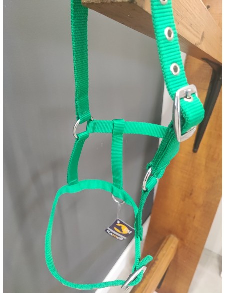 cabezada potro nylon verde